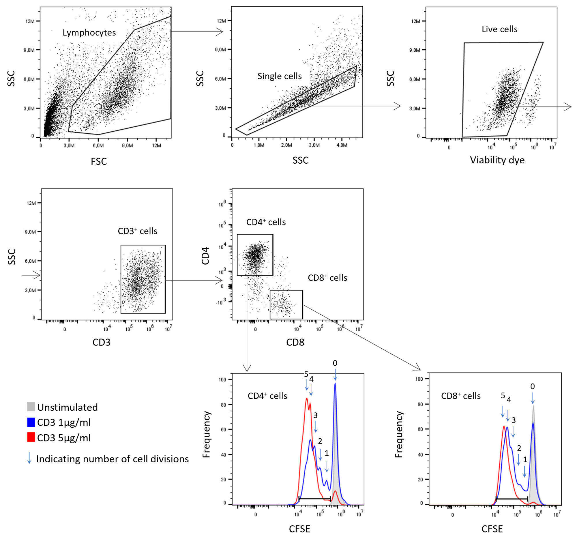 T Cell Assays Reaction Biology